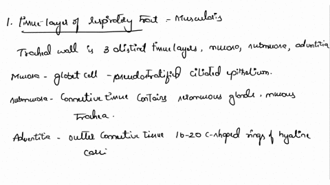 8-which-of-the-following-is-not-one-of-the-tissue-layers-of-the-respiratory-tract-muscularis-mucosa-adventitia-submucosa-9-what-three-structures-constitute-the-respiratory-membrane-10-which-32573