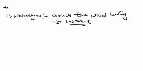 which-of-these-tubes-normally-transmit-air-but-not-food-select-all-correct-answers-oropharynx-nasopharynx-laryngopharynx-trachea-larynx-esophagus-62897