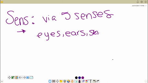 define-sensation-and-perception-explaining-the-difference-between-themreply-with-reference