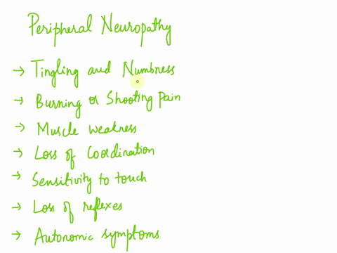 which-symptom-would-be-expected-from-a-malfunction-in-the-peripheral-nervous-system-57013