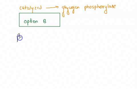 which-the-reaction-catalyzed-by-glycogen-phosphorylase-a-interconversion-of-glucose-1-phosphate-and-glucose-6-phosphate-b-formation-of-glucose-1-phosphate-c-formation-of-glucose-6-phosphate-56231