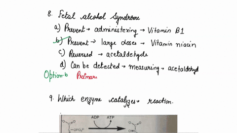 fetal-alcohol-syndrome-can-be-prevented-by-administering-large-doses-of-vitamin-bl-can-be-prevented-by-administering-large-doses-of-thea-to-pregnant-women-vitamin-niacin-nicotinic-acid-pregn-48403