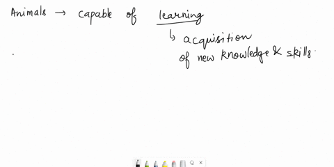 are-animals-capable-of-learning-or-are-their-response-strictly-programmed-reflexes-discuss-60704