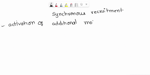 1which-of-the-following-do-not-result-from-synchronous-recruitment-in-motor-units-a-improved-rate-of-force-development-b-more-capability-to-exert-steady-force-c-more-forceful-contraction-d-i-07976