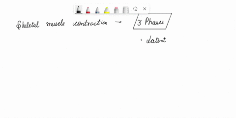 graph-the-rectus-femoris-muscle-label-the-latent-period-contraction-phase-and-relaxation-phase-68546