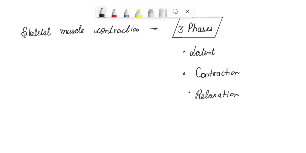 SOLVED: Graph the rectus femoris muscle. Label the latent period ...