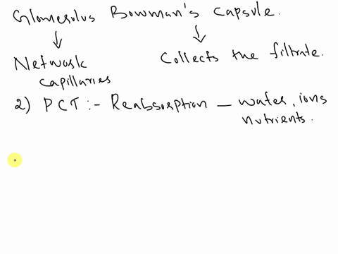 explain-the-structure-of-the-nephron-being-sure-to-describe-the-function-of-each-segment-describe-how-the-nephron-filters-the-blood-to-remove-nitrogenous-wastes-which-path-do-blood-cells-fol-85646