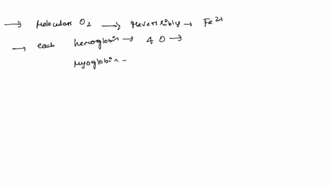 which-five-statements-about-hemoglobin-and-myoglobin-structure-are-ttue-molecular-oxygen-binds-reversibly-to-fe-in-heme-each-hemoglobin-molecule-can-bind-four-oxygen-molecules-each-myoglobin-47711