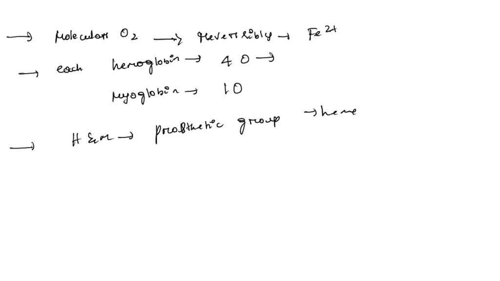 Solved Which Five Statements About Hemoglobin And Myoglobin Structure Are True Molecular 0004