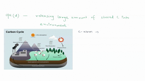 carbon dioxide from fossil fuels in addition to warming the atmosphere ...