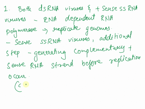 17-in-order-to-replicate-replicate-their-genomes-dsrna-sense-and-sense-ssrna-viruses-make-use-of-1-a-reverse-transcriptase-b-rna-dependent-dna-polymerase-rna-dependent-rna-polymerase-d-both-88645