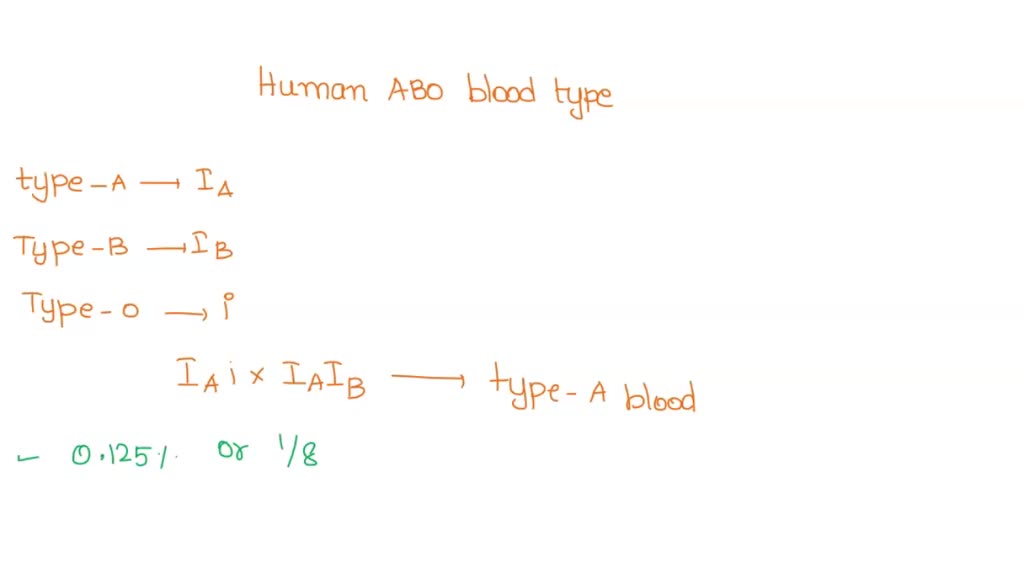 SOLVED: Human ABO Blood Type Is Controlled By The I Locus And Has Three ...