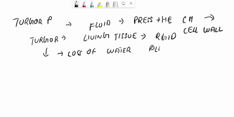 SOLVED: Which structure in plants resists changes in osmotic pressure?