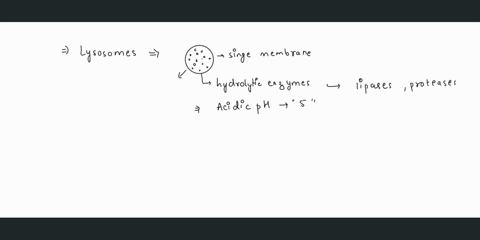 select-the-false-statement-in-relation-to-lysosomes-these-are-single-membrane-bound-vesicular-structures-o-lysosomes-are-called-suicide-bags-of-the-cell-o-lysosomal-vesicles-contain-hydrolyt-33503