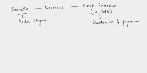 what-is-the-source-of-secretin-and-when-is-it-released-what-is-the-major-role-of-the-gastrointestinal-horones-name-the-accessory-organs-of-the-digestive-system-what-secreted-by-these-organs-55697