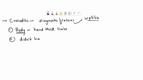 explain-the-reasons-why-traditional-linnean-taxonomy-placed-crocodilians-in-class-reptilia-with-turtles-tuataras-and-squamates-and-placed-birds-in-a-separate-class-aves-22995