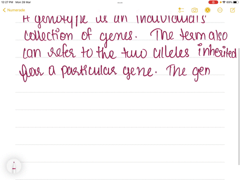 ________-refers-to-a-persons-genetic-makeupwhile-________-refers-to-a-persons-physical-characteristi-41088