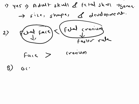 are-the-same-skull-bones-seen-in-the-adult-also-found-in-the-fetal-skull-how-does-this-compare-to-the-adult-skull-22-what-is-a-fontanelle-what-is-its-fatc-what-is-the-function-of-the-fontane-21267