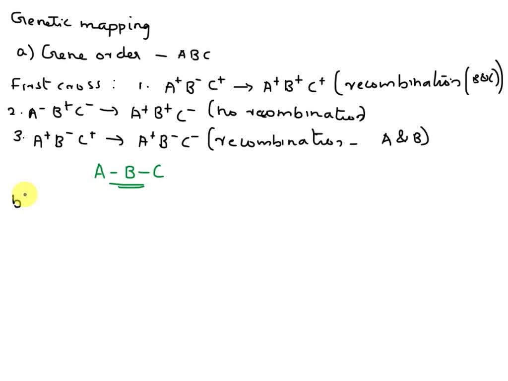You are studying a particular bacteriophage. The following genetic map ...