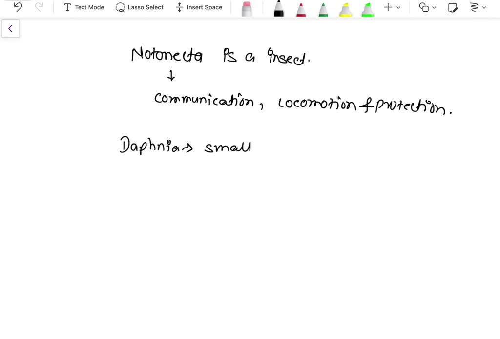 Explain how the presence of Notonecta chemical cues affects gene