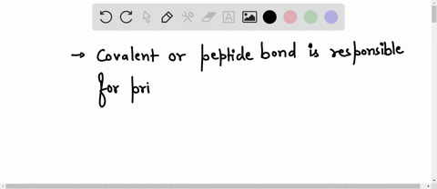 question-1-0-1-pts-what-kinds-of-interactions-are-responsible-for-helping-to-shape-the-primary-structure-of-a-protein-select-all-that-apply-hydrogen-bonds-lonic-bonds-covalent-peplide-bonds-17847