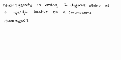 look-at-the-graphic-below-v-population-size-trequency-ol-heterozygoles-is-on-the-y-axis-whal-is-helerozycosity-what-is-homozygosity-whcn-comparing-small-population-t0-frec-population-incilhe-97016
