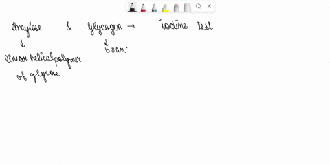 how-can-the-iodine-test-be-used-t0-distinguish-between-amylose-and-glycogen-results-of-carbohydrate-tests-pos-0-jd-a-benedict-s-test-b-seliwanoff-test-c-fermentation-test-d-lodine-test-pese-31373