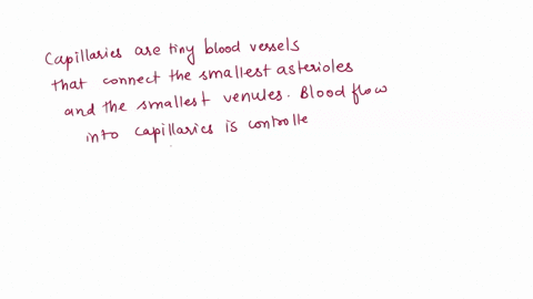 what-controls-blood-flow-into-capillaries-01051