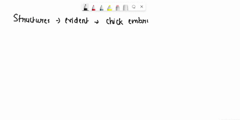 che-hours-a11-the-ollowing-structures-jrc-evident-thc-chick-enbryo-except-tuberculum-posterius-common-cardinal-voin-opcic-cups-iiver-ong-thece-a11-the-following-darivod-lrom-ehe-foregut-exce-33341