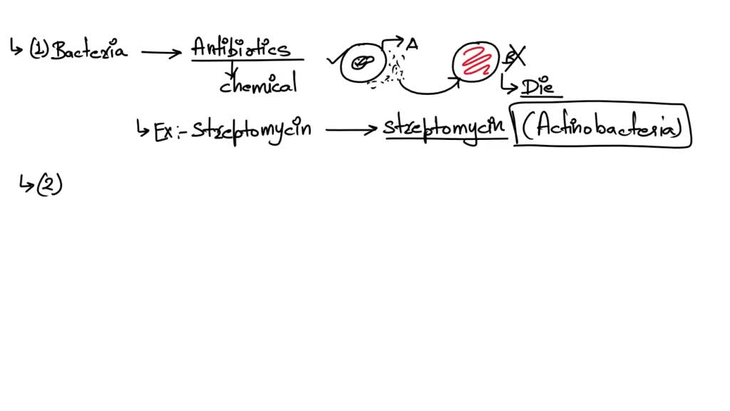 solved-a-antibiotics-are-produced-by-bacteria-of-this-phylum