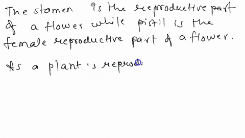 the-dash-is-the-male-reproductive-part-of-flower-while-dash-is-the-female-reproductive-part-of-a-flower-88906