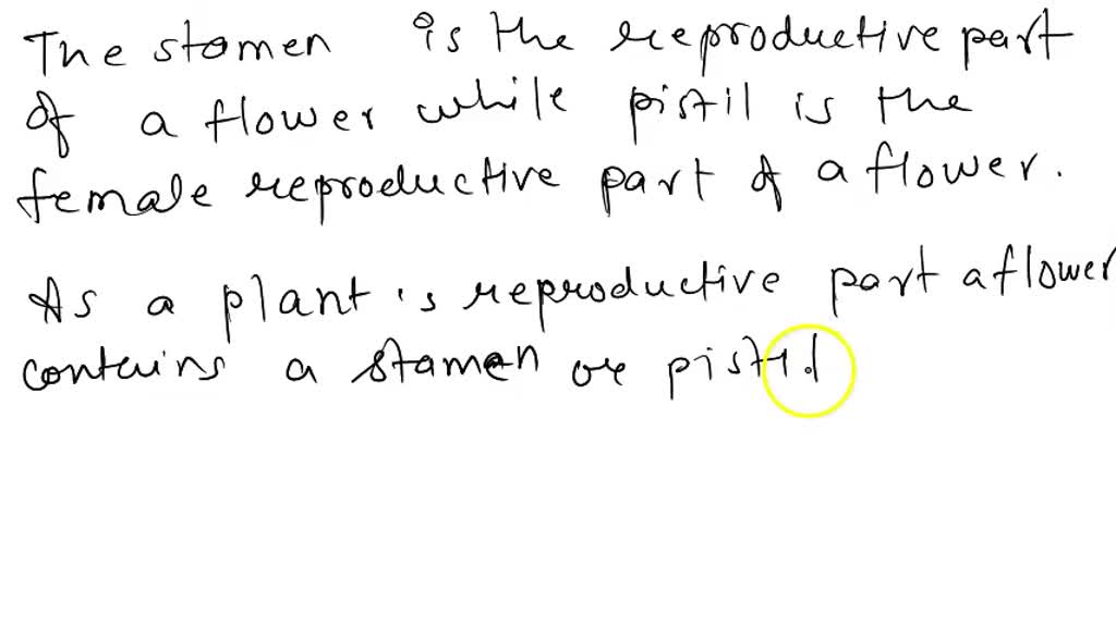 the male reproductive part of flower is called dash