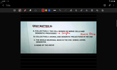 gray-matter-is-acollectively-the-cell-bodies-of-nerve-cells-and-dendritic-processes-bcollectively-axonal-and-dendritic-projections-in-the-cns-cthe-whole-neuronal-mass-in-the-cns-somas-axons-73608
