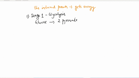 the-internal-process-by-which-an-organism-gets-energy-from-food-78398