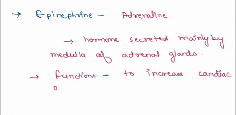 epinephrine-is-a-hormone-released-from-the-adrenal-gland-of-the-body-most-75773