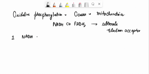 and-the-final-score-is-tally-up-totals-from-glycolysis-the-pdc-and-the-citric-acid-cycle-for-the-amounts-of-atp-fadhz-and-nadh-produced-assume-that-fadhz-gives-15-atp-and-nadh-gives-25-atp-i-33801