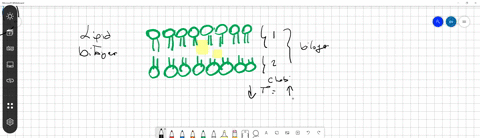 list-four-components-of-a-plasma-membrane-and-explain-their-function-a-phospholipids-form-the-bilayer-carbohydrates-help-in-adhesion-cholesterol-provide-flexibility-integral-proteins-form-transporte-2