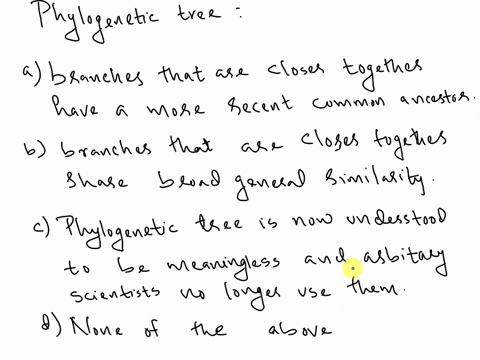 a-phylogenetic-tree-has-which-of-the-following-attributes-a-branches-that-are-closer-together-have-a-more-recent-common-ancestor-b-branches-that-are-closer-together-share-broad-general-simil-42816