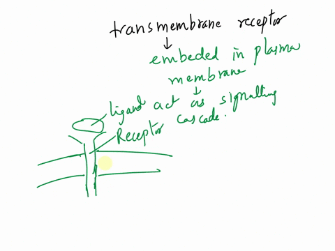 question3-1pts-if-a-transmembrane-receptor-that-is-involved-in-a-signal-transduction-pathway-is-mutated-in-such-a-way-that-the-internal-domain-can-not-be-chemically-modified-o-it-will-likely-96754