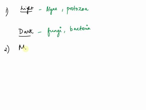 purpose-expected-result-what-types-of-organisms-will-be-more-prevalent-in-the-bay-infusion-incubated-in-the-light-than-in-the-hay-infusion-incubated-in-the-dark-motility-will-be-exhibited-by-19566