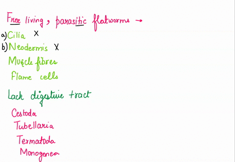 1-free-living-and-parasitic-flatworms-share-which-of-the-following-traits-check-all-that-apply-acilia-bneodermis-cmuscle-fibers-dflame-cells-2-which-of-the-following-lack-a-digestive-tract-a-23458