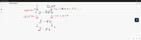 how-many-atp-molecules-can-be-made-from-the-complete-aerobic-metabolism-of-one-molecule-of-glucose-10-points-part-1-categorize-each-energy-product-ie-substrate-level-phosphorylation-atp-itse-24792