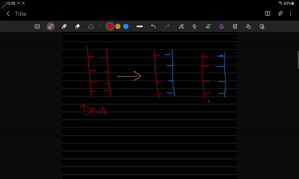 SOLVED A series of unnatural nucleic acid bases, with the chemical