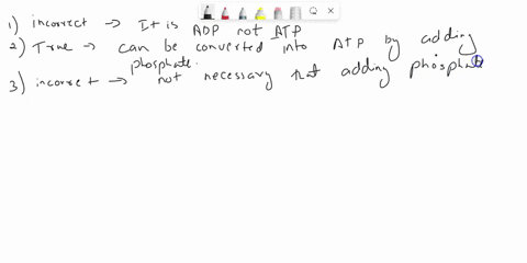 please-type-which-is-correct-solutions-check-all-that-apply-analyze-this-molecule-and-select-all-of-the-true-statements-below-nh-ho-ch-adenine-h-h-h-ho-ho-ribose-check-all-that-apply-this-mo-88316