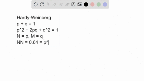 in-a-population-of-100-individuals-64-are-of-the-nn-blood-type-what-percentage-is-expected-to-be-mn-assuming-hardyweinberg-equilibrium-conditions-8-24-36-32-16-16013