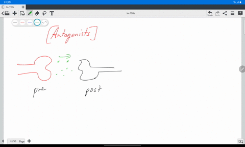 drugs-that-bind-to-a-neurotransmitters-autoreceptors-without-activating-them-are-usually-group-of-answer-choices-agonists-antagonists-enzymes-amino-acids