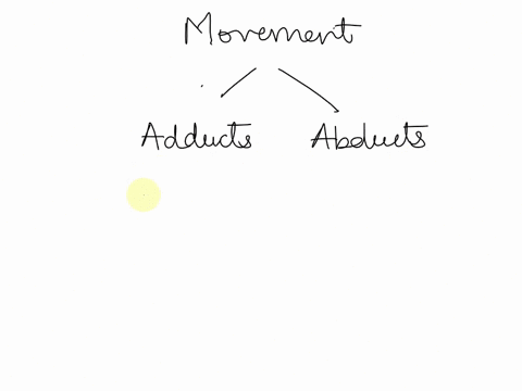 movement-of-a-limb-away-from-the-midline-or-median-plane-of-the-body-in-the-frontal-plane-is-known-as-__________-86858