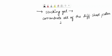 why-do-we-use-a-stacking-gel-in-sds-page-76868