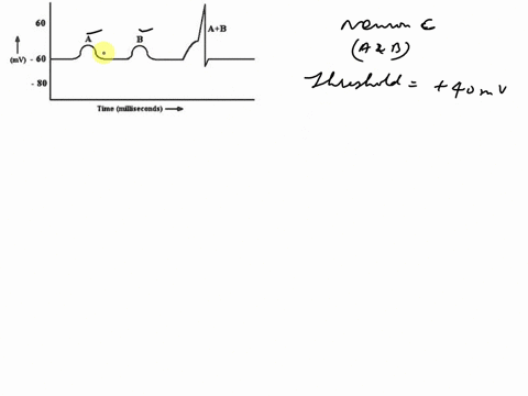 the-graph-below-shows-the-action-potentials-recorded-for-two-neurons-and-bwhich-fire-simultancously-if-neuron-is-connected-to-both-and-b-and-its-threshold-is-50-mv-will-have-an-action-potent-17535