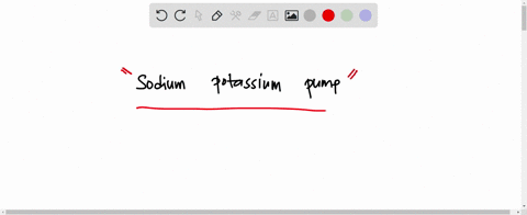 the-concentrations-of-sodium-and-potassium-ions-are-very-different-inside-and-outside-neuron-what-contributes-to-these-differences-exocytosis-and-endocytosis-osmosis-diffusion-of-chloride-io-02482